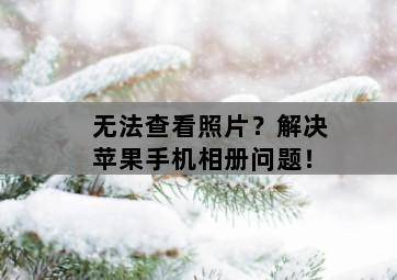 无法查看照片?解决苹果手机相册问题! 无法查看照片?解决苹果手机相册问题!-图片2